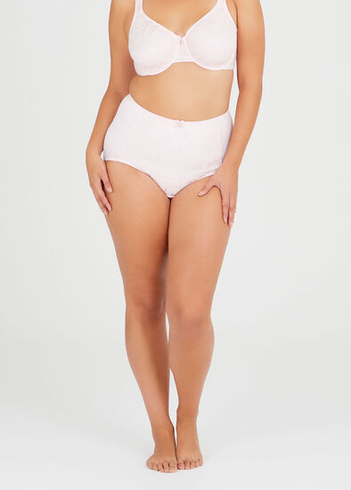 Plus Size Smooth Lace Panel Brief