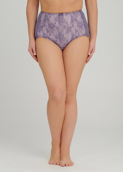 Plus Size Smooth Lace Panel Brief