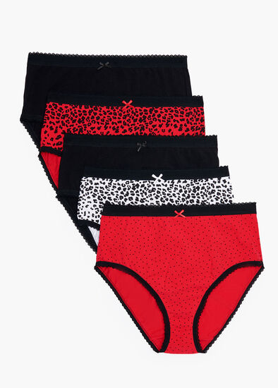 Plus Size 5 Pack Animal Print Briefs