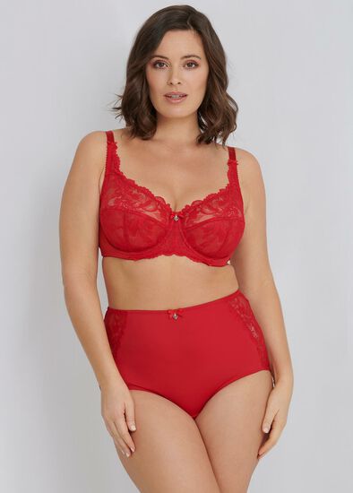 Plus Size Lace Underwire Bra