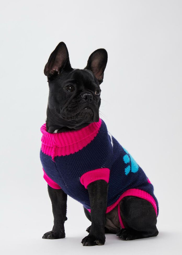 Bone & Paw Knitted Pet Jumper, , hi-res