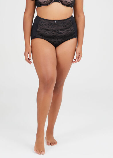 Plus Size Smooth Lace Panel Brief