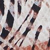 Wild Ways Tunic, , swatch