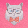 Cat Glasses Case, , swatch