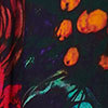 Wild Roses Cape, print, swatch